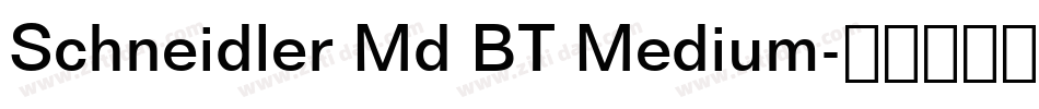Schneidler Md BT Medium字体转换